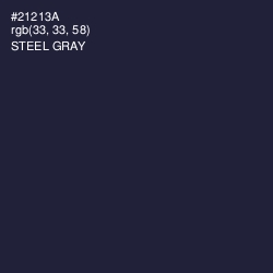 #21213A - Steel Gray Color Image
